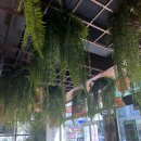 왕지1-4길 이미지