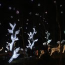 별빛정원B 이미지