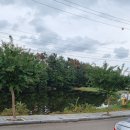 부곡온천 이미지