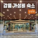 산과 바다 주문진리조트 | 강릉 주문진 가성비 호텔 산과바다 베니키아호텔 주문진 후기(어메니티, 수영장 등)