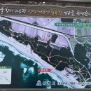 맹방해수욕장산림욕장 네이버블로그