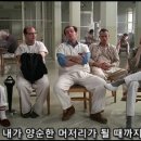 뻐꾸기둥지 이미지