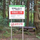 서귀포자연휴양림2 이미지