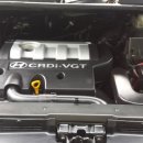 오아시스크리닝샵 이미지