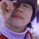 알레그라피 이미지