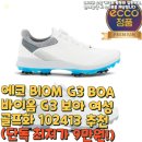 에코바이옴 | 에코 BIOM G3 BOA 바이옴 G3 보아 여성 골프화 102413 추천(단독 최저가 9만원!)