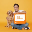 라이크펫 이미지