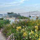 만경회타운 이미지