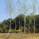 수원-1912 이미지