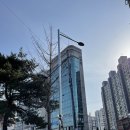 온양얼음미미화원 | [마산카페] 마산 해양공원을 바라보는 뷰가 너무 이쁜 카페 스웨븐 내돈내산 후기