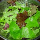 추억의껍데기 이미지