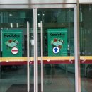 오카리나연주기초반 | 대전 우쿨렐레 앙상블 &#39;코알로하 앙상블&#39; 정기연주회 후기~♬