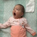유라엘 이미지