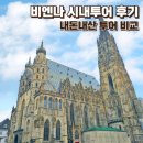 로맨틱 프랑스 자수 교실 | 오스트리아 비엔나 시내투어 내돈내산 후기 소요시간 투어 비교 추천