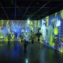 12/2 크리스마스 테라리움 이미지