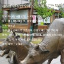 횡성한우 - 금천구 금하로25길 14 | 횡성한우