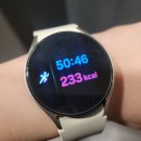 간이식당야간식당 | 엄마랑 서문시장 데이트! 부추전, 땅콩빵,경희식당 솔직후기 [2.25 오운완]