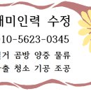 수정인력사무소 이미지