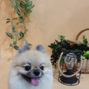 제이앤제이그루밍 이미지