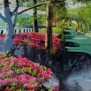 신정호수공원-10 이미지