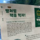 책빵소 이미지