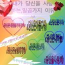 태양떡집 - 서대문구 통일로 476 | 태양떡집