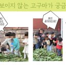 무석농장 네이버블로그