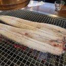 장어시대 이미지