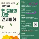 강서구-45 이미지