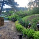 장수골 민박(안동펜션) 이미지