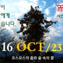 숲속의꿈
