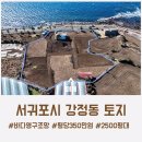 강정동-55 네이버블로그