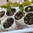 (주)달달콩 이미지