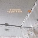 권태우정형외과의원 이미지