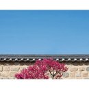 중앙과일 - 서구 북비산로65길 6 | 중앙과일