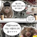 원웨이 피트니스 이미지