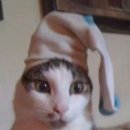 삼례도서관 내 | 더울거면 적당히 더워야지 사람이 더워서 죽을 지경까지 더우면 그게 더위냐 살인이지