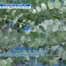 명신농장 이미지