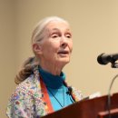 제인이화 이미지