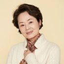 김영애 이미지