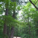 수미산정 이미지