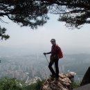 참약사엘림약국 이미지