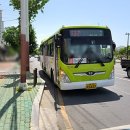 내태1리 이미지