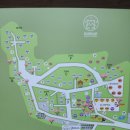 포레스트 | 인천 근교 캠핑장 범바위 포레스트 솔직 후기