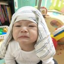 선우의 268일-8개월아기 발달,밤수끊기 시도
