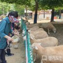 늘솔길숲이야기 이미지