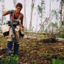 나무를심는사람들. 이미지