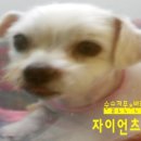 온천동물병원 이미지