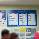 콩리 이미지