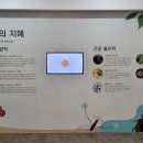 곤충생태전시관 티스토리